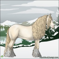 Horse Color:Buckskin Roan Pearl and Buckskin Roan Pearl Splash