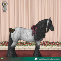 Horse Color:Blue Roan 