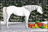 Horse Color:Silver Buckskin Pearl Sabino Rabicano 