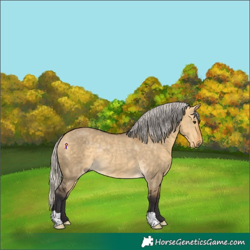 Horse Color:Silver Buckskin Dun Rabicano 