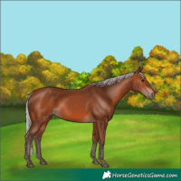Horse Color:Silver Brown