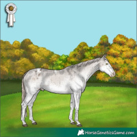 Horse Color:White Spotted Liver Red Dun Mushroom Tobiano Appaloosa Rabicano Brindle 