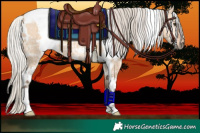 Horse Color:White Spotted Silver Bay Ice Dun