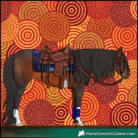 Horse Color:Brown 