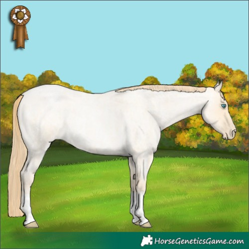 Horse Color:Buckskin Roan Pearl  and Buckskin Roan Pearl 