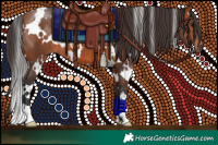 Horse Color:White Spotted Bay 