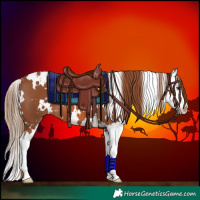 Horse Color:White Spotted Chestnut Splash 