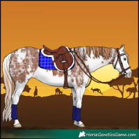 Horse Color:White Spotted Chestnut Ice Splash 
