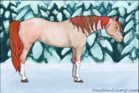 Horse Color:Buckskin Roan Pearl 
