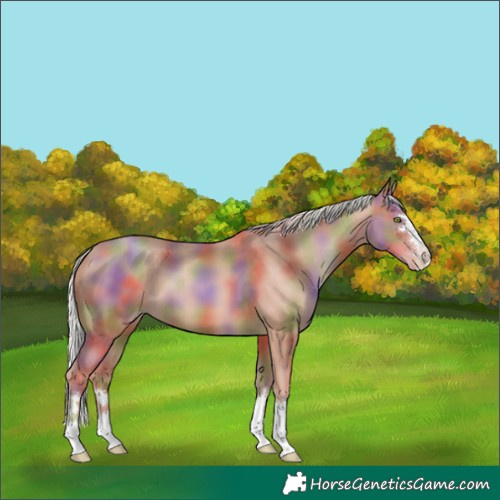 Horse Color:Nacre Silver Sable Champagne 