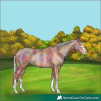 Horse Color:Nacre Silver Sable Champagne 