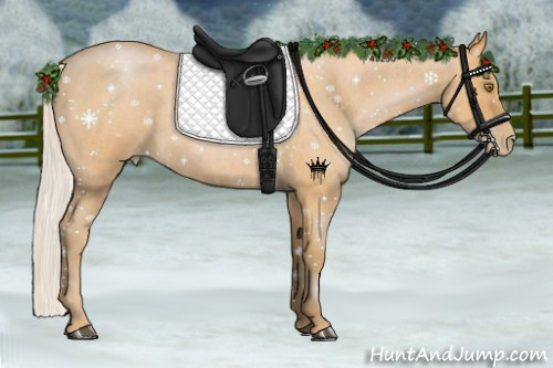 Horse Color:Silver Bay Roan Pearl 