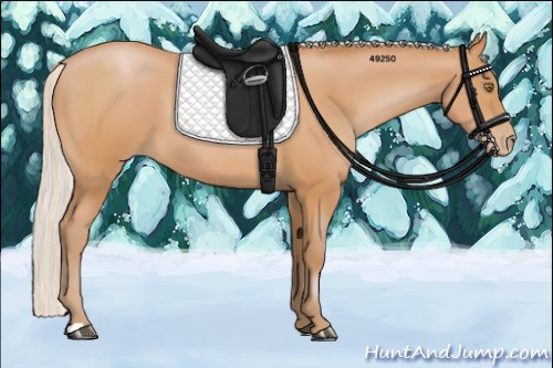 Horse Color:Silver Bay Pearl 