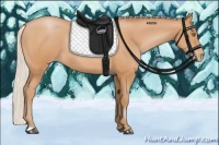 Horse Color:Silver Bay Pearl 