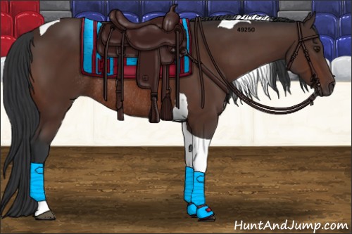 Horse Color:Brown Tobiano Rabicano