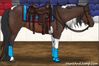 Horse Color:Brown Tobiano Rabicano 