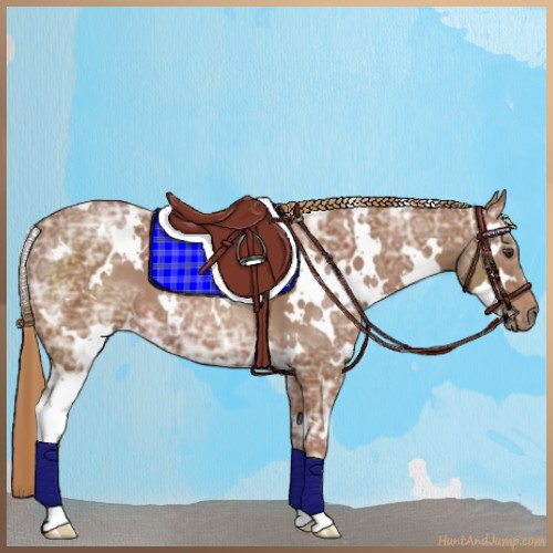Horse Color:White Spotted Chestnut Ice 