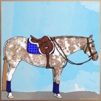 Horse Color:White Spotted Chestnut Ice 