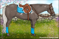 Horse Color:White Spotted Silver Black 