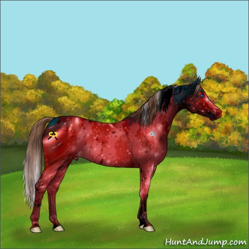 Horse Color:ERROR: UNKNOWN ANOMALY