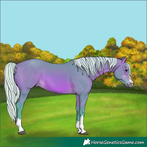Horse Color:Watercolor Silver Bay Rabicano