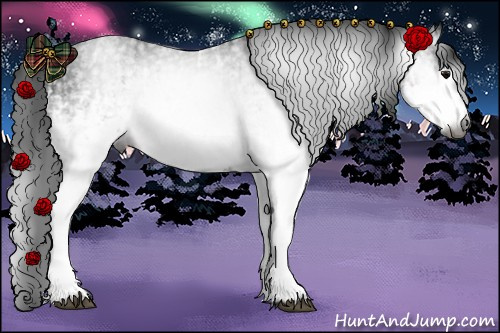 Horse Color:Gray White Spotted Black and Gray White Spotted Blue Roan