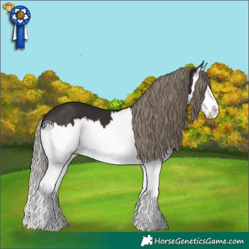 Horse Color:Liver Chestnut Mushroom Splash 