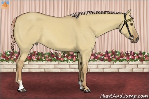 Horse Color:Palomino Dun Sabino 