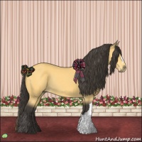 Horse Color:Buckskin Rabicano