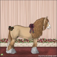 Horse Color:Red Dun Splash 