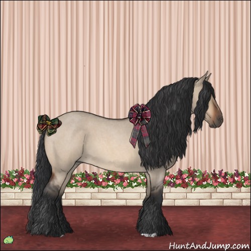 Horse Color:Bay Roan Dun 