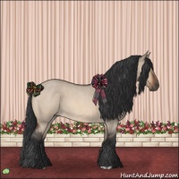 Horse Color:Bay Roan Dun