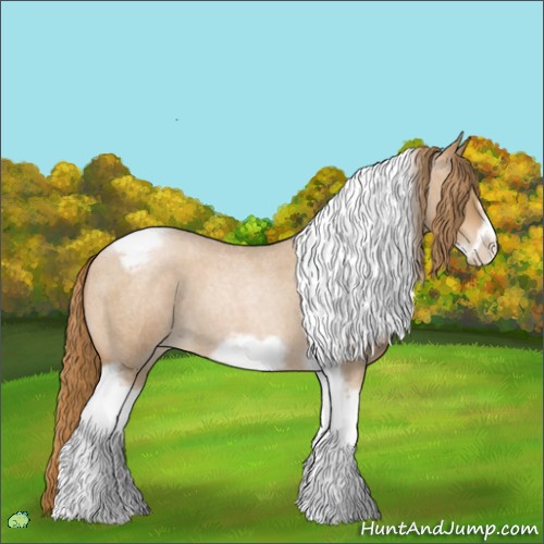 Horse Color:Red Roan Pearl Tobiano Frame 