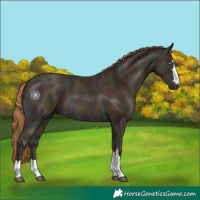 Horse Color:Midnight Chocolate Brown Ice Pearl 