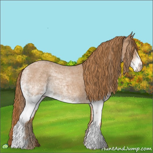 Horse Color:White Spotted Red Roan 