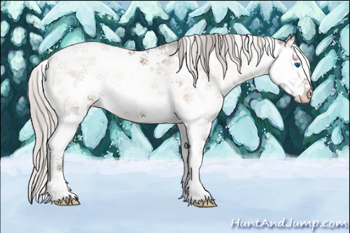 Horse Color:Silver Brown Onyx Sabino Splash 