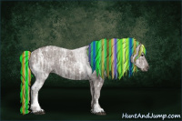 Horse Color:Painted White Spotted Silver Black Ice Sabino Rabicano