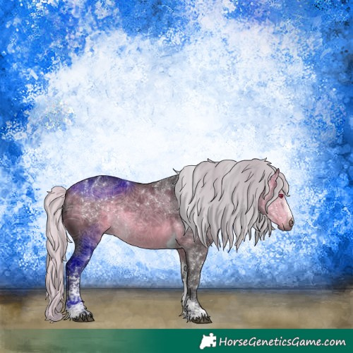Horse Color:Silver Buckskin Chinchilla Sabino Tobiano 