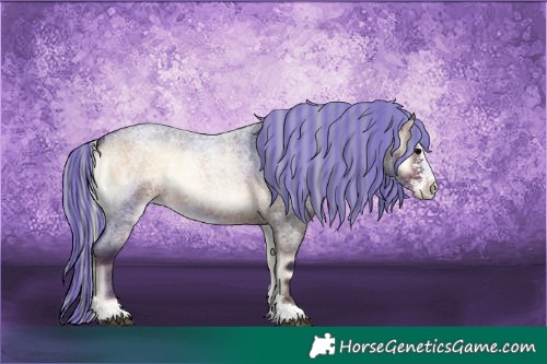 Horse Color:Painted Silver Brown Roan Onyx Sabino