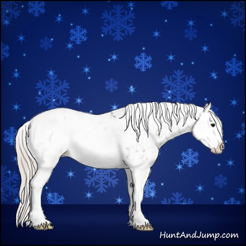 Horse Color:Silver Brown Sabino Splash Near Leopard 