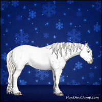 Horse Color:Silver Brown Sabino Splash Appaloosa 