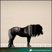 Horse Color:Void Chocolate Silver Brown Ice Dun Sabino 