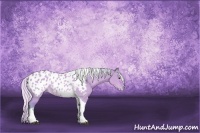 Horse Color:Watercolor Silver Brown Dun Sabino Tobiano Near Leopard Rabicano 