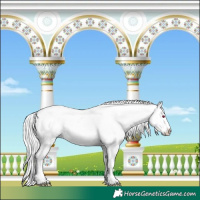 Horse Color:Liver Red Dun Chinchilla Tobiano Rabicano 