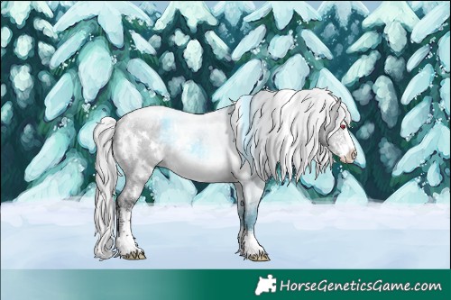 Horse Color:White Spotted Silver Grullo Chinchilla Sabino Rabicano