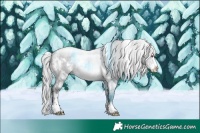 Horse Color:White Spotted Silver Grullo Chinchilla Sabino Rabicano