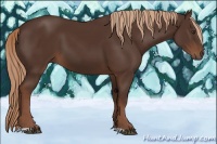 Horse Color:Liver Chestnut 