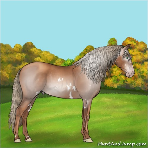 Horse Color:Gray White Spotted Gold Champagne Mushroom 