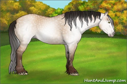 Horse Color:Gray Amber Champagne Dun 