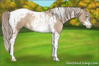 Horse Color:Chocolate Palomino Pearl Tobiano Frame  and Chocolate Palomino Pearl Splash Tobiano Frame 